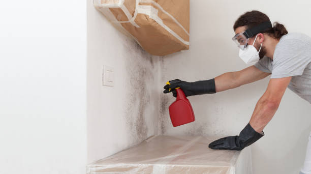 Professional Mold Remediation technician working in Royersford, PA